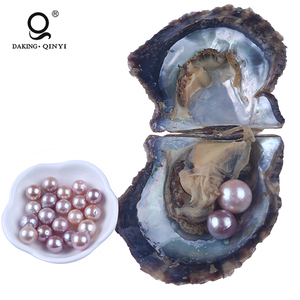 L'ostréiculture Vente Emballés Sous Vide Aaa Ronde Oyster <span class=keywords><strong>Perle</strong></span> <span class=keywords><strong>Prix</strong></span> - Product Image 1