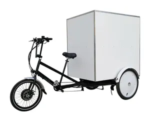 Advertising Electric Pedicab Food Delivery günstige tuk tuk Cargo Tricycle für verkauf