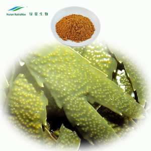 ブラダーラック海藻昆布エキスパウダーFucus Vesiculosusエキスパウダー20% ~ 98% フコイダン - Product Image 4