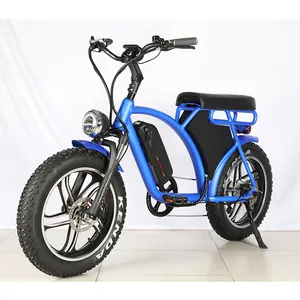 HP-E 73 36v 48v 13Ah -16Ah LCD display 250w 350w 500w 750w motor wheel super power adult fat tire vintage electric bike