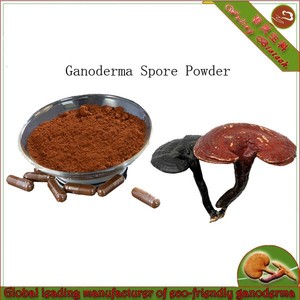 De China venta al por mayor de hongo reishi polvo de esporas para bajar de peso - Product Image 1