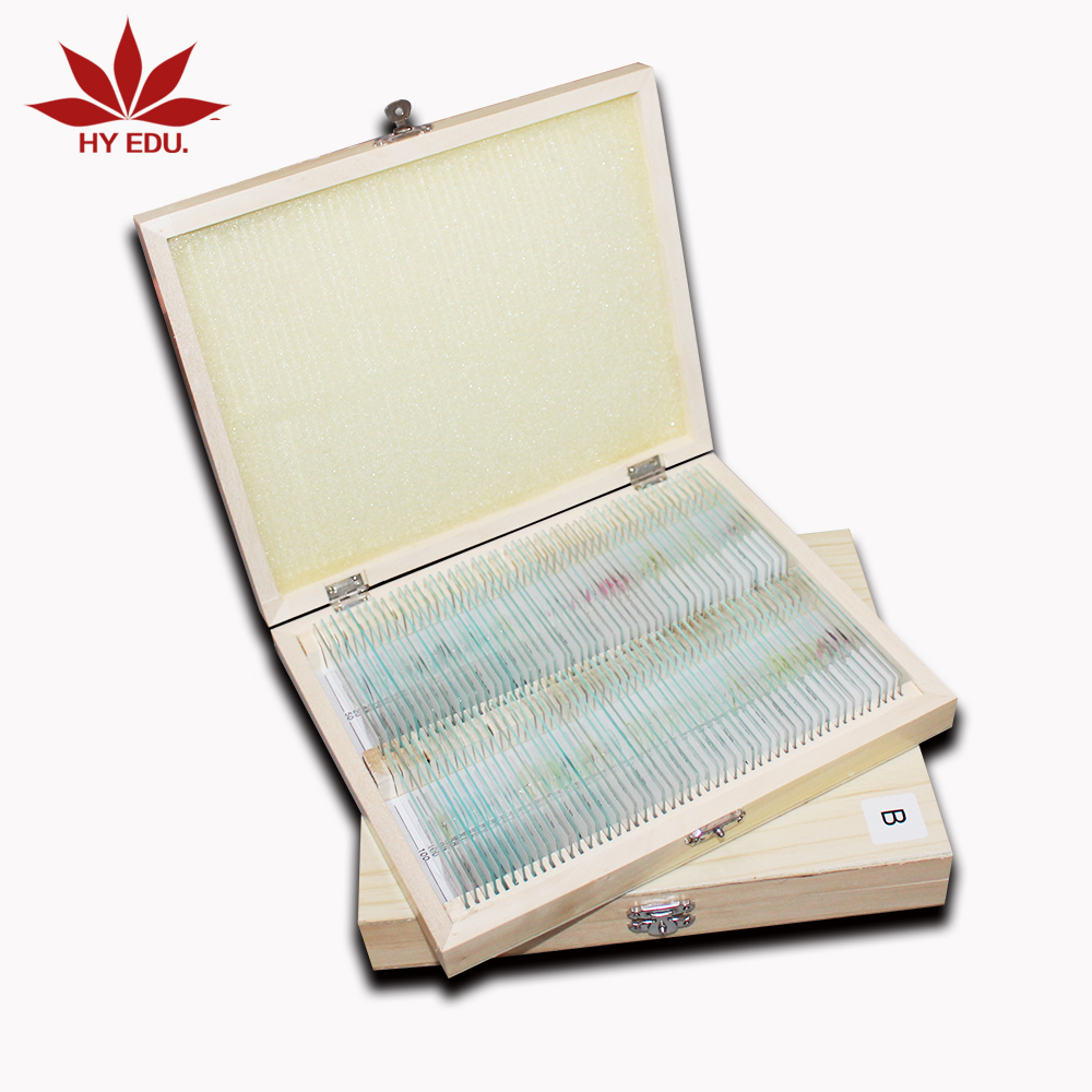 Fixed set educational supplies biology teaching resourses various of botany and zoology microscope teaching slides specimen