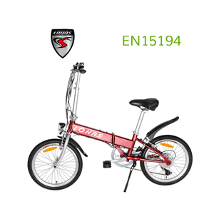 Green the last source 20 inch folding 24V/250W electric bicycle with CE - Product Image 1
