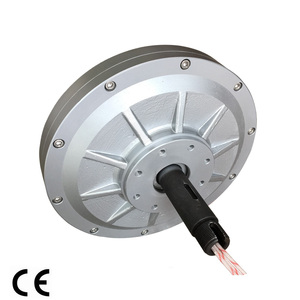 TGET320-1KW-300R-220VAC Coreless PMG <span class=keywords><strong>generator</strong></span>/vento alternatore generatore motore a rotore Esterno, Trifase a magnete permanente alternatore - Product Image 2