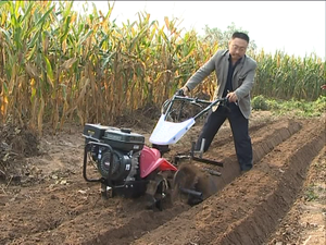 Mini tractor agrícola <span class=keywords><strong>de</strong></span> gas, Timón <span class=keywords><strong>de</strong></span> potencia F/<span class=keywords><strong>P</strong></span>, roto, Timón <span class=keywords><strong>de</strong></span> potencia, husqvarna, 7HP, 9HP, precio en la india, 177 - Product Image 6