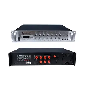 Penguat Daya Audio CS-250F Audio Alamat Publik Profesional Audio Pro Akurasi