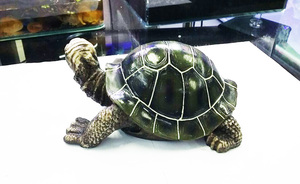 Aquarium/<span class=keywords><strong>Terrarium</strong></span> Dekor für Aquarium Harz Ornament Krokodil Schädel Knochen - Product Image 2