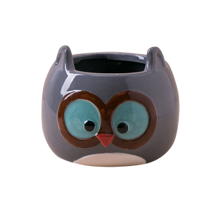 Macetas y jardineras decorativas de cerámica para jardín, diseño de búho pequeño de dibujos animados, suculentas - Product Image 6