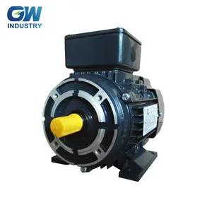GW High Efficiency drei phase YSJ7114-1HS pumpe motor 0.25KW 220V/380V