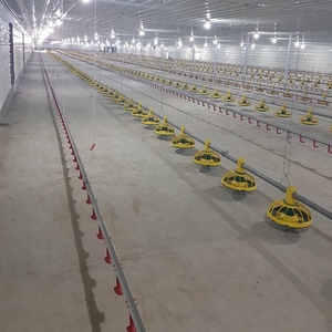 איכות גבוהה אוטומטית פולטרי עבור פרויקטים עופות סוהר וברוילר - Product Image 5