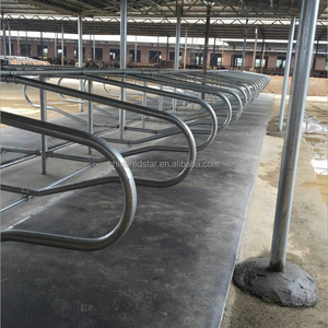 Chất đặc biệt nệm bò mềm - Product Image 2