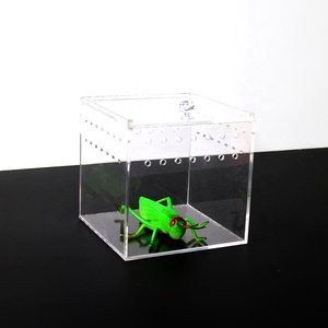 Mini Cage à reptile en plexiglas pour les animaux, bac en acrylique transparente, à motif d'insecte, accessoire de Terrarium - Product Image 6