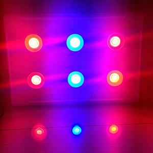 Sistema de cultivo de interior BP300 <span class=keywords><strong>Aerogarden</strong></span> 3 w viruta llevada crece la luz mazorca de malezas hierba veg flower bloom toda - Product Image 2