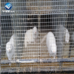Di alta Qualità professionale della fabbrica degli animali di allevamento gabbia di visone - Product Image 5