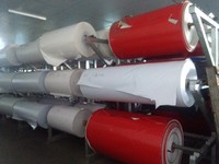 Vinilo Autoadhesivo para Impresión Gráfica en Rollo para Plotter de Corte