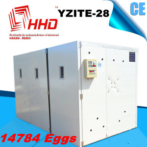 2014 más reciente aprobado por la ce <span class=keywords><strong>grande</strong></span> fertilizados huevos para la venta - Product Image 1