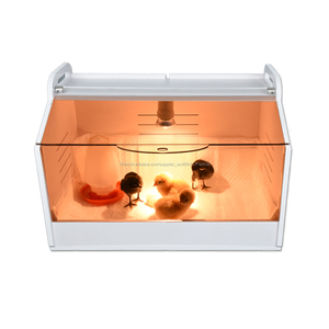<span class=keywords><strong>Poussin</strong></span> éleveur chaud bébé <span class=keywords><strong>poussin</strong></span> volaille matériel agricole - Product Image 2