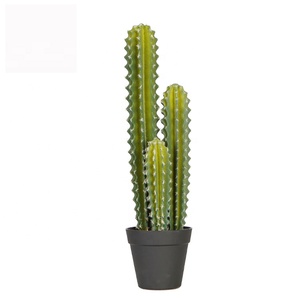<span class=keywords><strong>Vendita</strong></span> Calda: Pianta di Cactus Artificiale in Spugna da 50cm con 3 Steli - Product Image 1