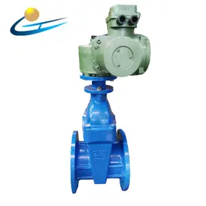 Factory price electric valve flange ductile cast iron actuator motorized gate valve