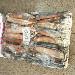 المجمدة الأرجنتين Illex حجم الحبار 100-150 جرام - Product Image 2