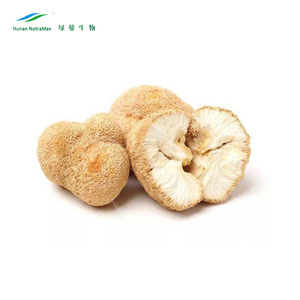 Polisaccaridi della polvere dell'estratto del fungo della criniera del leone del produttore della cina per gli integratori alimentari - Product Image 1