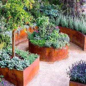 Barato corten plantador de aço, ambiental vasos plantadores de flores, atacado de planejadores vertical de jardim produtos