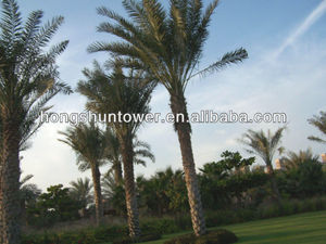Camuflado tree tower disfrazado antena palmera artificial - Product Image 1