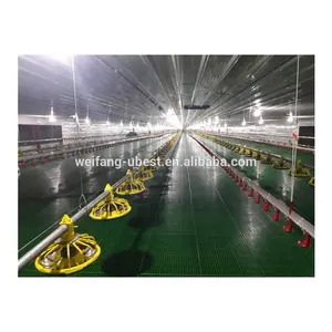 China Factory Supply Automatische Geflügel Broiler Chicken Farm Equipment zum Verkauf