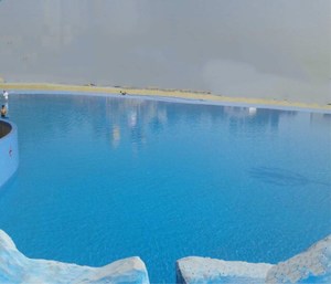 Vernice calda della poliurea del rivestimento dello spruzzo della poliurea impermeabile della piscina del prodotto da vendere - Product Image 2