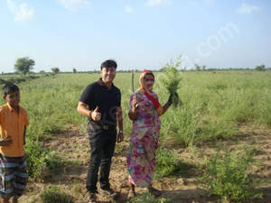 Henna en Polvo para el Cabello Lawsonia Inermis Natural Triple Refinada, Color Caoba Desplazado, Semipermanente con Etiqueta Privada - Product Image 5