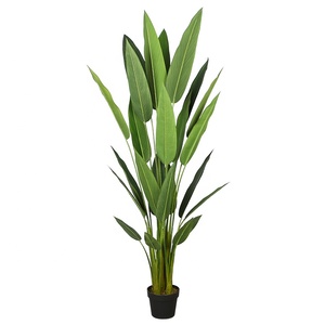 Nouveautés Artificielle Oiseau de Paradis 160 cm Artificielle <span class=keywords><strong>Strelitzia</strong></span> pour La Décoration De La Maison - Product Image 6