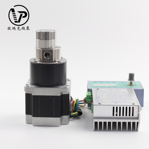 פופולרי עיצוב 24V Dc חשמלי מיקרו מגנטי קטן חיוני שמן הילוך העברת להשתמש עבור דלק שמן דיזל חומר סיכה - Product Image 6