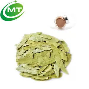 100%pure Natural Senna Leaf Extract Powder