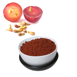 HONGDA โรงงานอุปทานสารสกัดจากเมล็ดองุ่น95% OPC สารสกัดจากเมล็ดองุ่น - Product Image 4