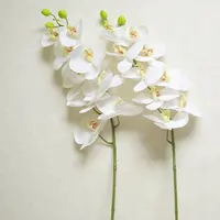 זול אמיתי מגע מקורה צמחים לטקס phalaenopsis סחלבים לחתונה