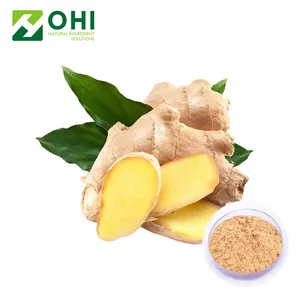 nature Extract ginger powder / organic ginger powder Zingiber officinale 1%-50% Gingerols