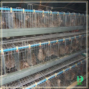 La ferme et l'agriculture équipements cages à oiseaux à vendre pas cher, petit poulailler design à vendre - Product Image 3