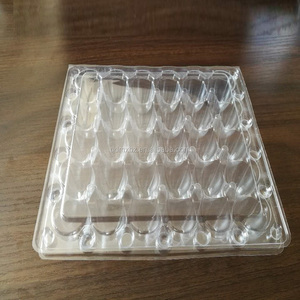 Vỏ sò rõ ràng nhựa chim cút khay trứng Pet hình chữ nhật container cho trái cây và bao bì thực phẩm cho trứng cút bao bì - Product Image 5