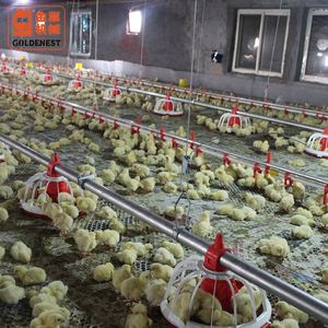 Vente chaude volaille système d'alimentation automatique mangeoire à oiseaux pan - Product Image 1