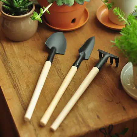 TOP Quality 3pcs/set Mini Garden Plant Tool Set With Wooden Handle Gardening Tool Shovel Rake
