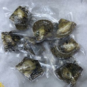 Đồ Trang Sức Giáng Sinh AAA 6-7Mm Hạt Oyster Bao Bì Nước Muối Akoya Oyster Với Vòng Ngọc Trai Nuôi Cấy Tự Nhiên Màu Đỏ - Product Image 6