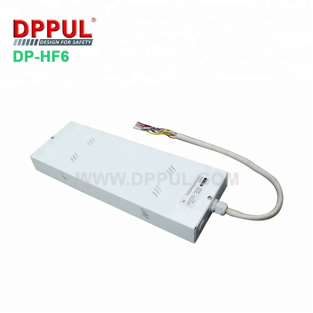 Dppul Factory High Quality 220/240VAC 50/60Hz Operation time 3 hours Rechargeable battery pack