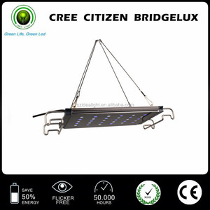 Espectro completo C ree llevó la <span class=keywords><strong>luz</strong></span> del acuario 6500 k llevó la <span class=keywords><strong>luz</strong></span> del acuario para la <span class=keywords><strong>luz</strong></span> led del acuario del <span class=keywords><strong>mar</strong></span> - Product Image 4