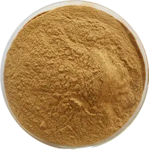 100% Natural Pure Alpinia Officinarum Lesser Galangal Extract