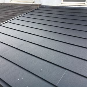 Tốt Nhất Trong Suốt Mono Panel Năng Lượng Mặt Trời/BIPV Mô-đun PV - Product Image 1