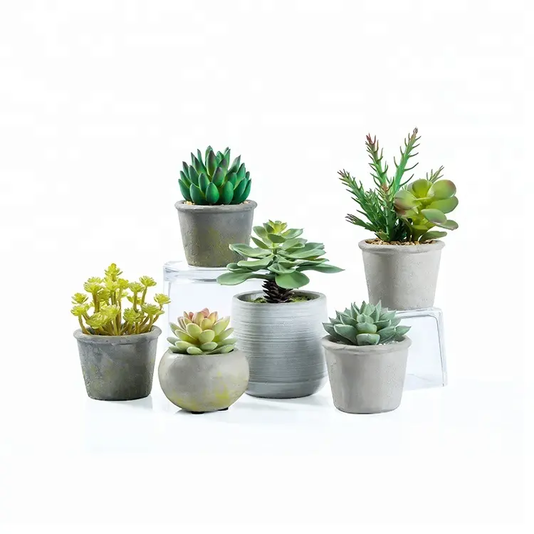 Yeni tasarım Pot Fke Succulents yapay etli bitkiler satış resim plastik çiçek saksıları Macetas Plasticas Para kaktüs