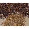 Factory Supply 100% Pure <b>Natural</b> Black Pepper Essential Oil Organic Aromatherapy <b>Best</b> Prices Wholesale Bulk Supply Seed Raw - Product Image 3