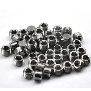 Condibe stainless steel NPT male hollow hex plug