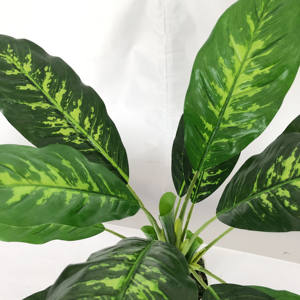 Planta de plástico artificial para decoración <span class=keywords><strong>interior</strong></span>, bonsái para el hogar y la Oficina de gran calidad al aire libre, evergreen - Product Image 4