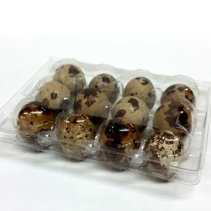 18 holes plastic quail egg carton